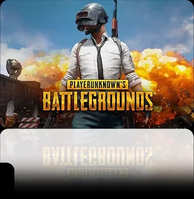 pubgCategory